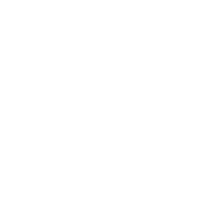 價(jià)格優(yōu)勢(shì)與技術(shù)支持